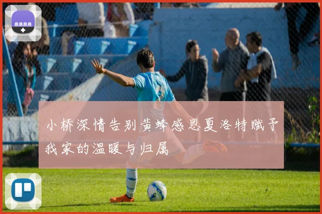 小桥深情告别黄蜂感恩夏洛特赋予我家的温暖与归属