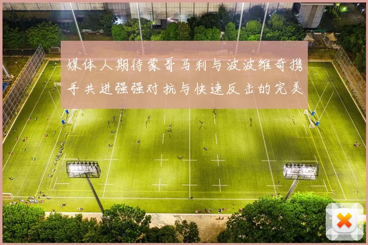 媒体人期待蒙哥马利与波波维奇携手共进强强对抗与快速反击的完美结合